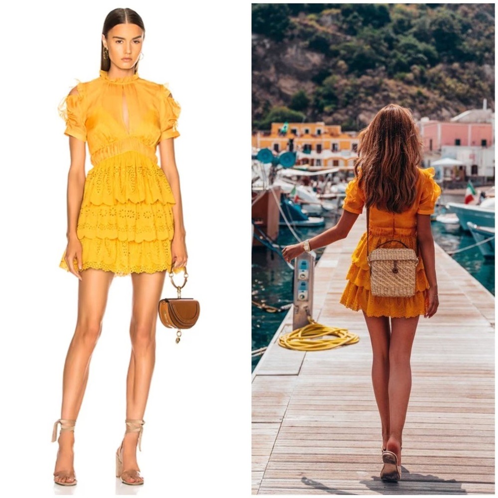 Self Portrait Embroidered Chiffon Tiered Mini Dress Size 4